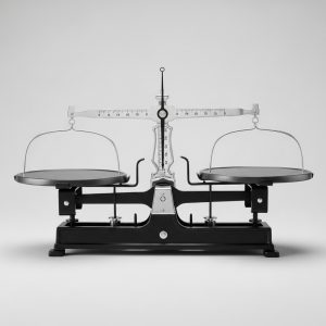 Platform Beam Balance 100kg