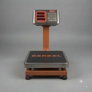 60 KGs Electronic Platform