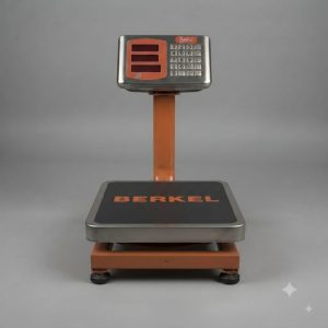 60 KGs Electronic Platform